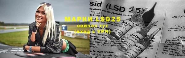 ПСИЛОЦИБИНОВЫЕ ГРИБЫ Зерноград